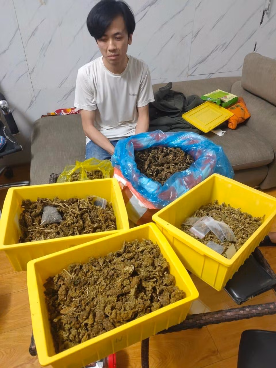 Lên mạng đặt mua 4,5kg cần sa về mở đại lý phân phối -1