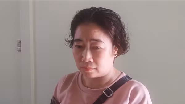 Sử dụng các loại giấy tờ giả, người phụ nữ chiếm đoạt hơn 10 tỷ đồng