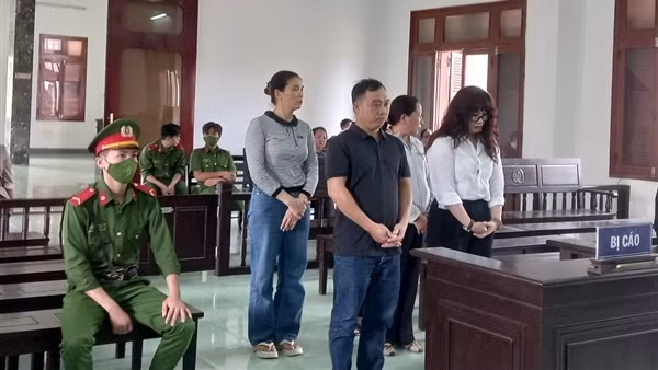 Lừa đảo, giả mạo giấy tờ, nữ bị cáo lãnh án 22 năm tù