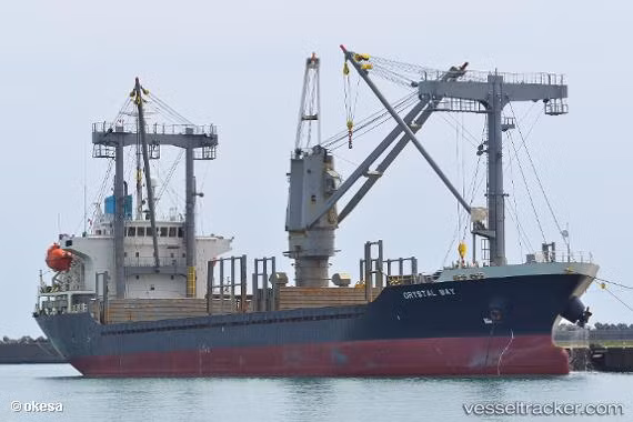 Thêm 5 thuyền viên tàu cá mất liên lạc ở Bình Thuận được cứu sống ảnh 3