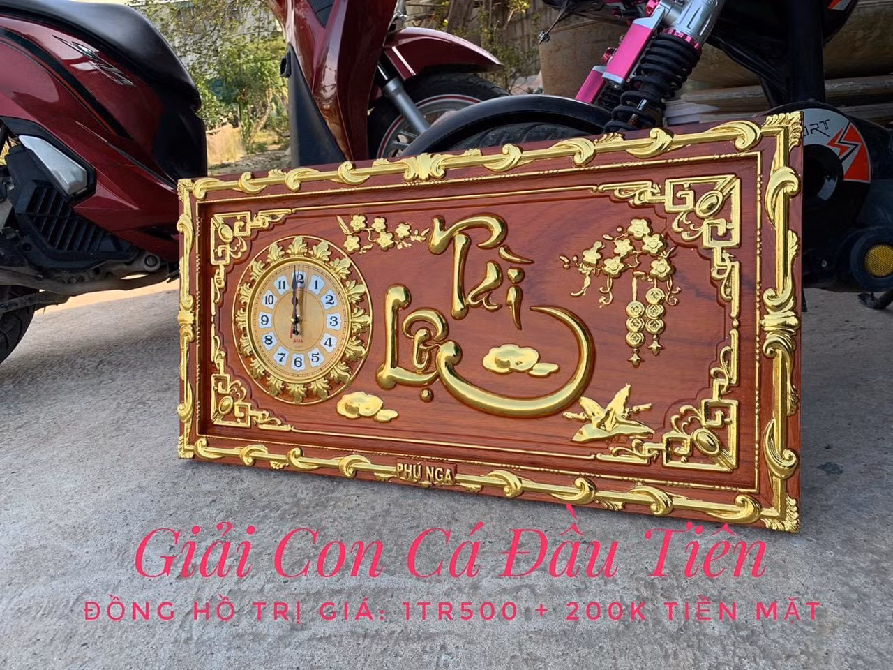 Nở rộ thú chơi câu cá: Đừng biến đam mê thành nỗi buồn -0