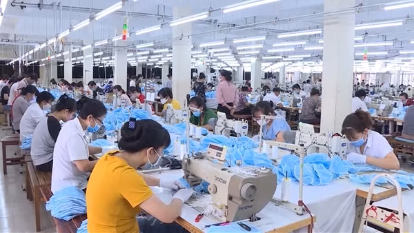 Doanh nghiệp cần quan tâm xu hướng tiêu dùng mới khi mở cửa tái sản xuất ảnh 2