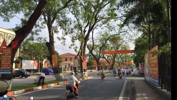 Phó giám đốc Trung tâm phát triển quỹ đất treo cổ trên cây