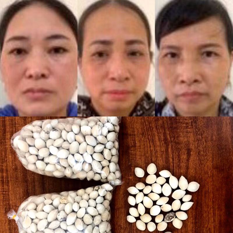 Nhóm đối tượng dàn cảnh bán “Bạch quả” lừa đảo sa lưới như thế nào? -0