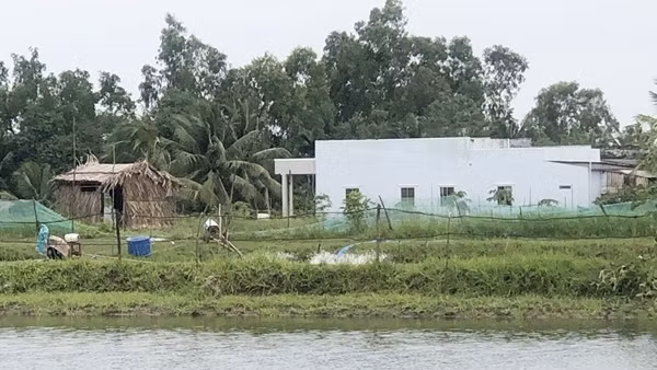 Một phụ nữ ở Bạc Liêu bị quạt tạo oxy cuốn tử vong