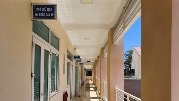 Cách chức Phó Chủ tịch Hội Nông dân “rút ruột” tiền hỗ trợ nông dân