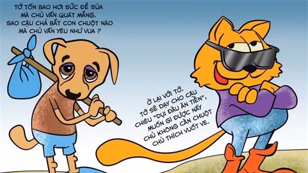 Phỏng vấn con mèo