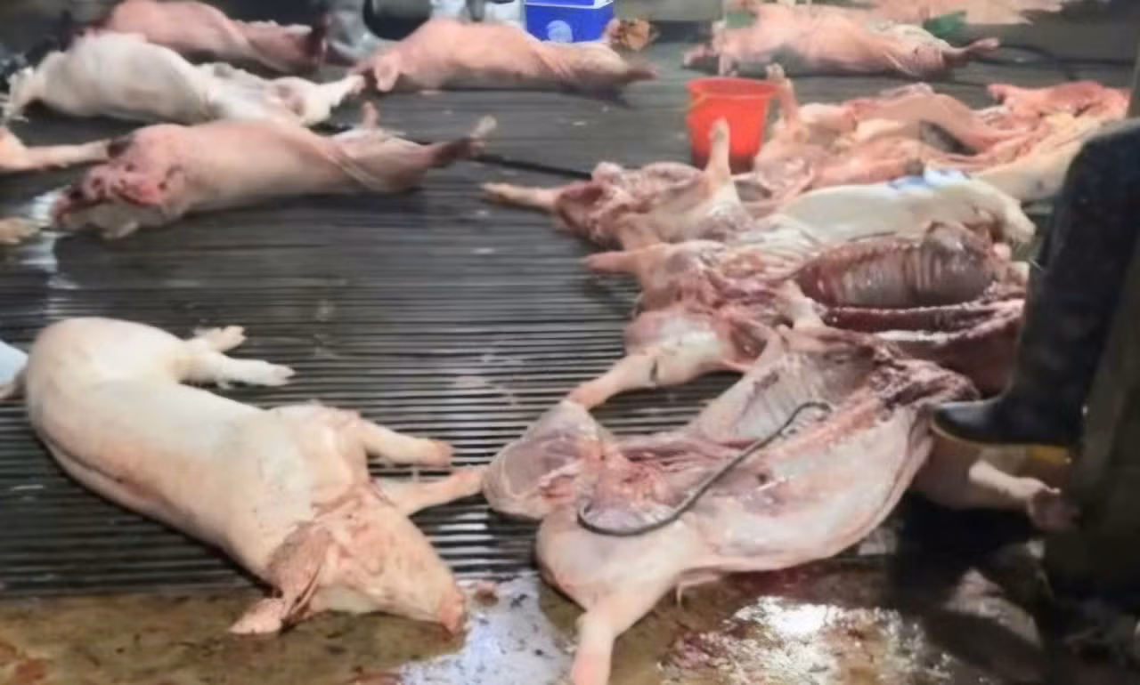 Cảnh sát phòng chống tội phạm về môi trường: Quyết liệt ngăn chặn thực phẩm bẩn và hàng giả -0