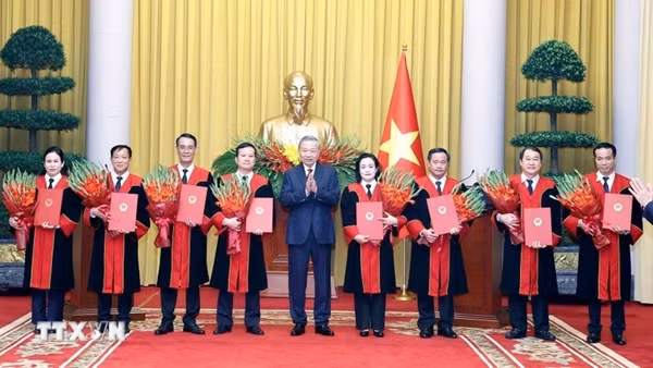 Tổng Bí thư, Chủ tịch nước Tô Lâm trao quyết định bổ nhiệm Thẩm phán Tòa án Nhân dân tối cao
