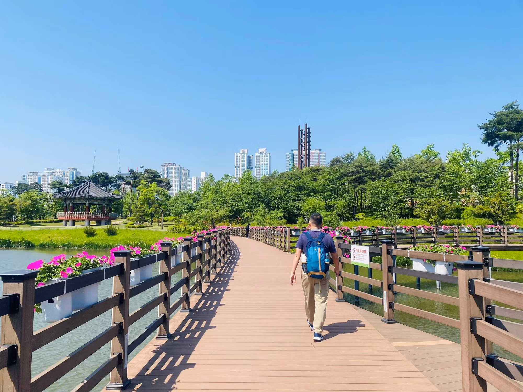 Seoul mùa xanh lá -0
