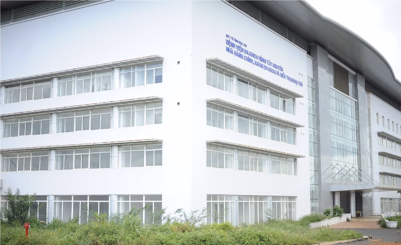 Nhiều bác sĩ chi từ 200 đến 300 triệu để mua chứng chỉ hành nghề y giả -0