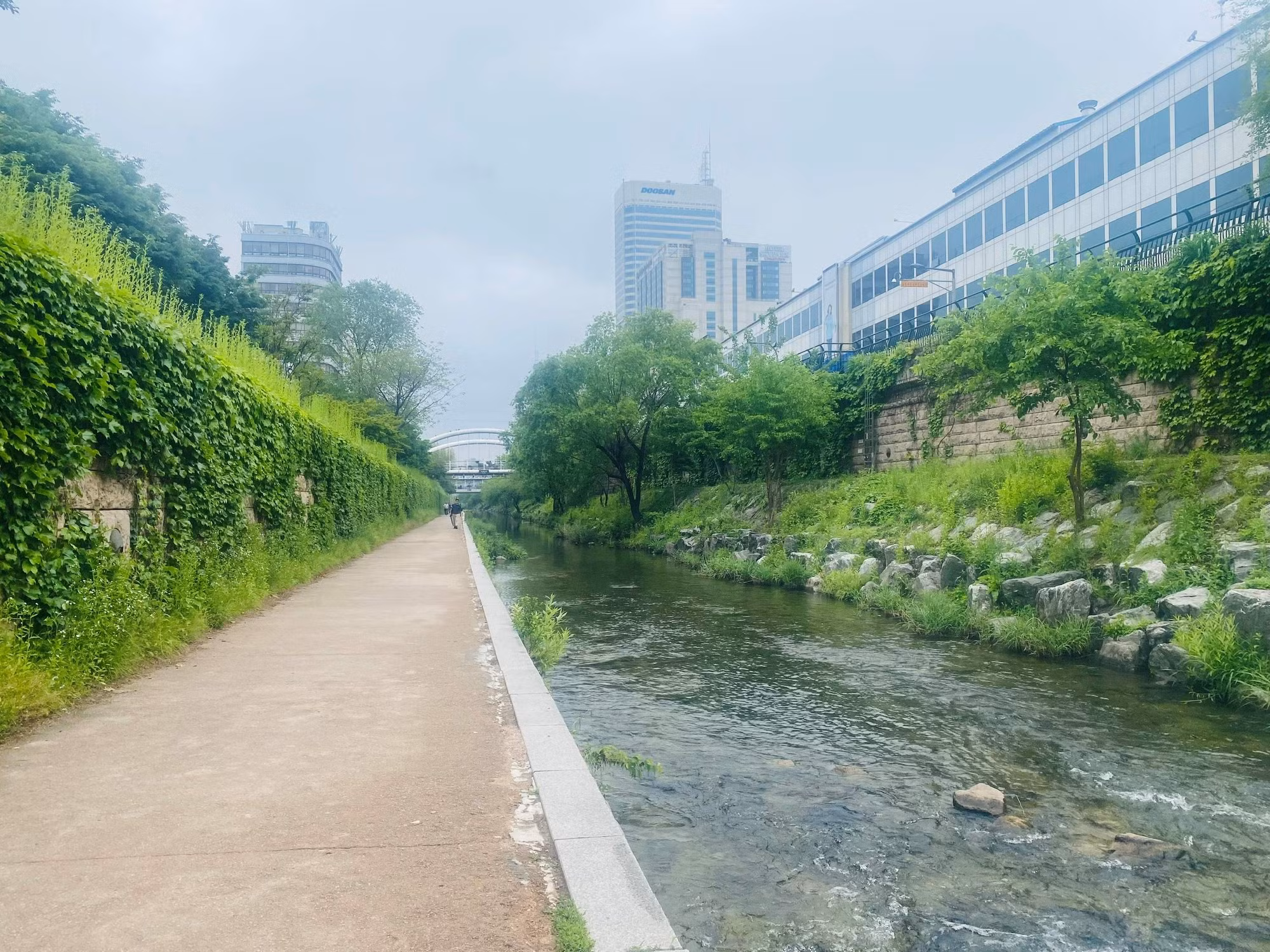 Seoul mùa xanh lá -1