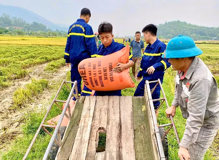 Cảnh sát PCCC & CNCH giúp dân thu hoạch lúa sau mưa lớn -2