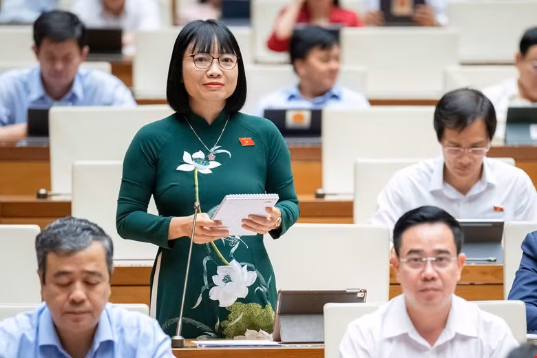 Đại biểu Quốc hội phân tích lý do nên bỏ tử hình đối với một số tội danh -0