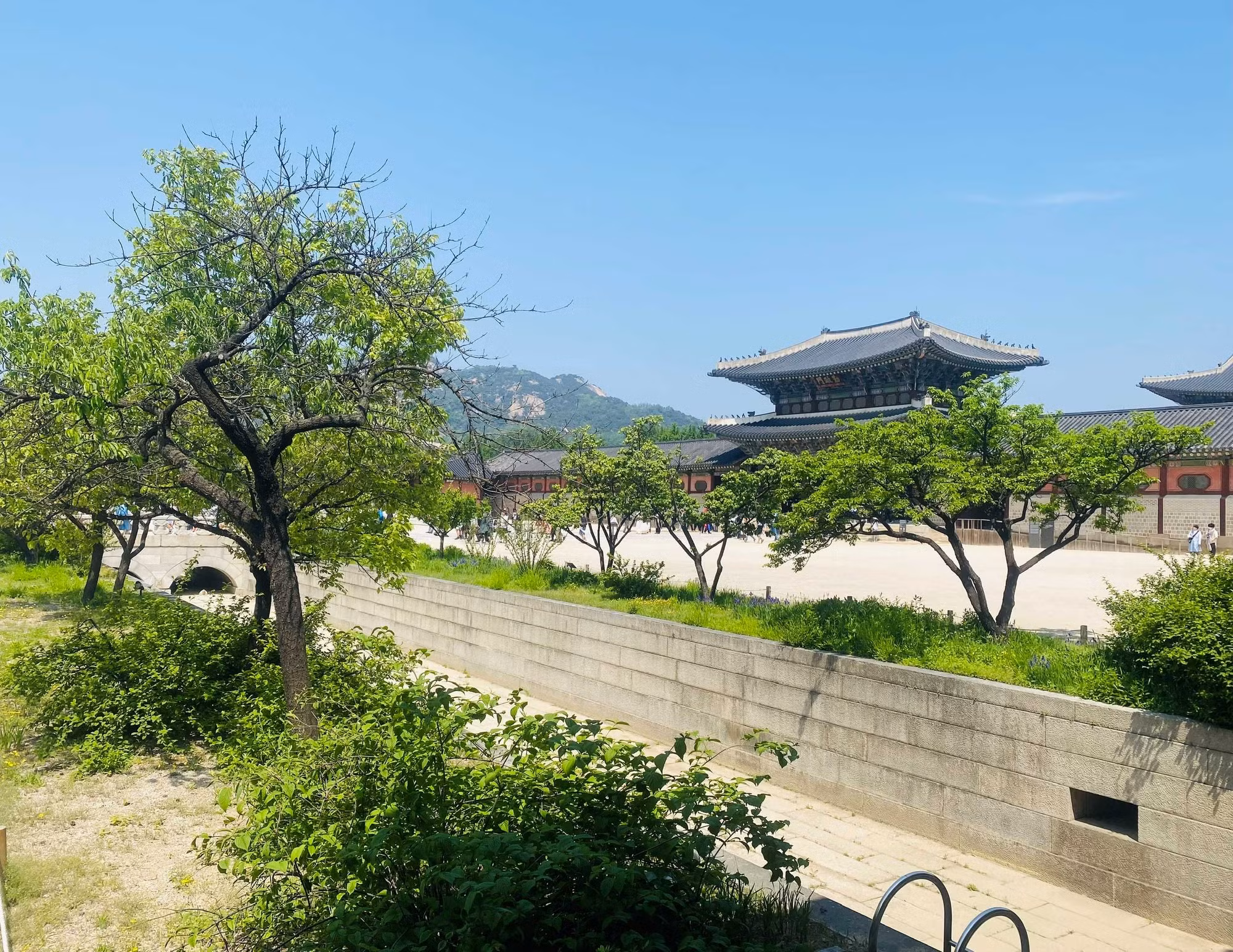 Seoul mùa xanh lá -0