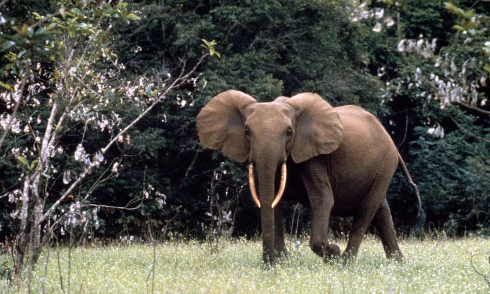 image001.jpg -0