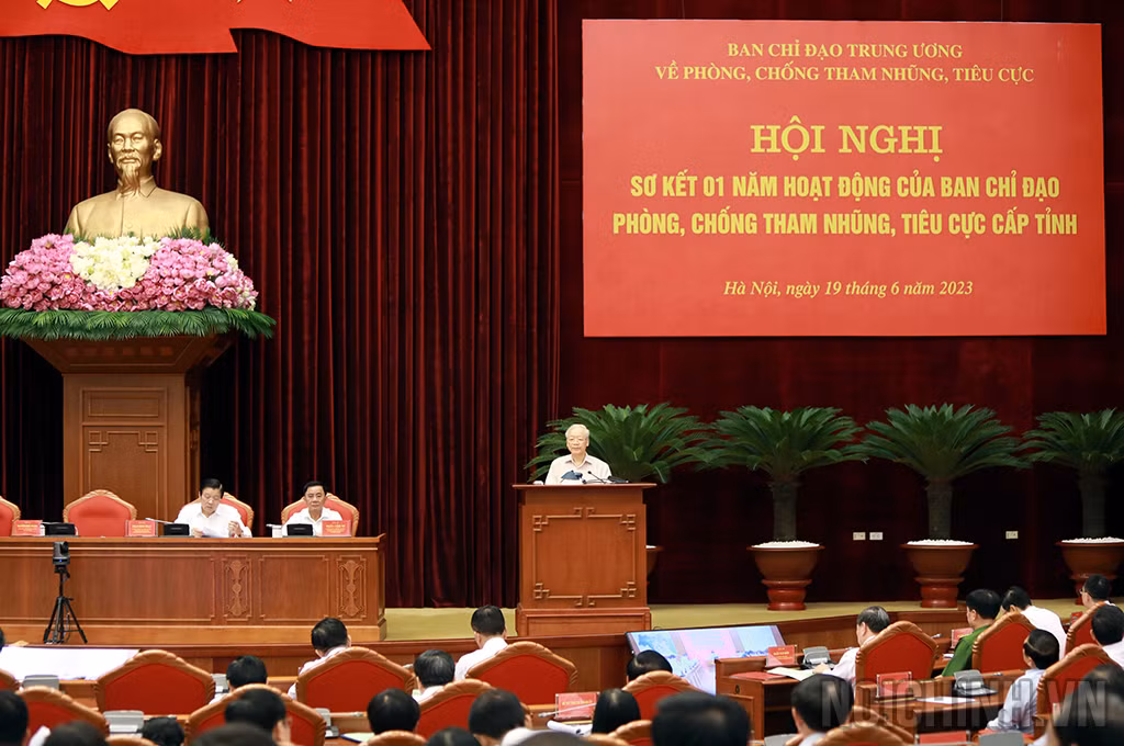 Hơn một thập kỷ 