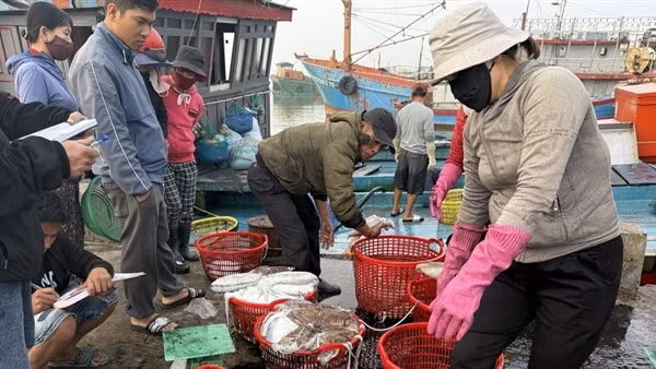 Đẩy mạnh ứng dụng công nghệ số trong khai thác thủy sản