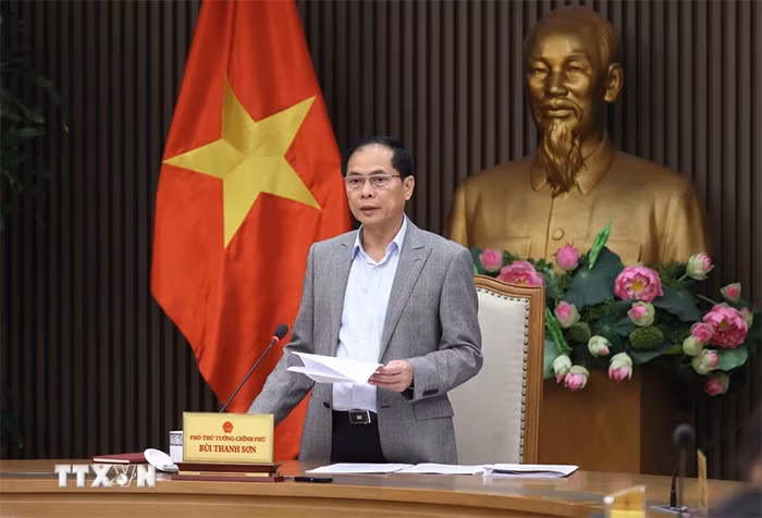 Phó Thủ tướng Bùi Thanh Sơn: Tiếp tục các biện pháp ngoại giao để tác động Hoa Kỳ có giải pháp phù hợp -0