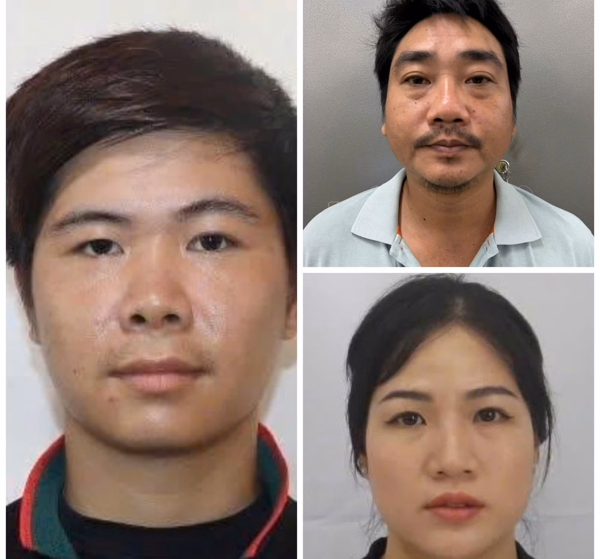Triệt phá đường dây sản xuất thịt đà điểu, dê, nhím làm giả từ thịt heo, thu lợi hàng tỷ đồng -3