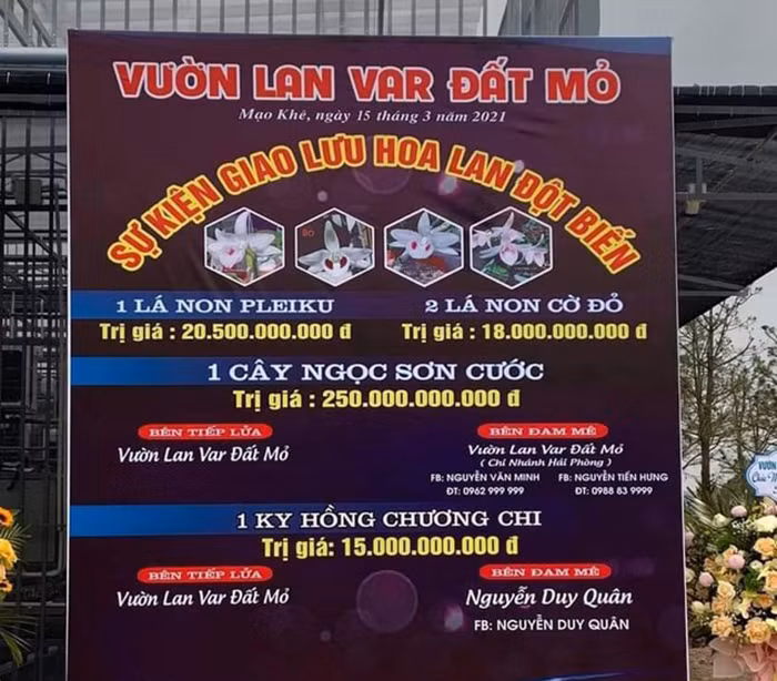 Sẽ làm rõ trách nhiệm cơ quan quản lý -0