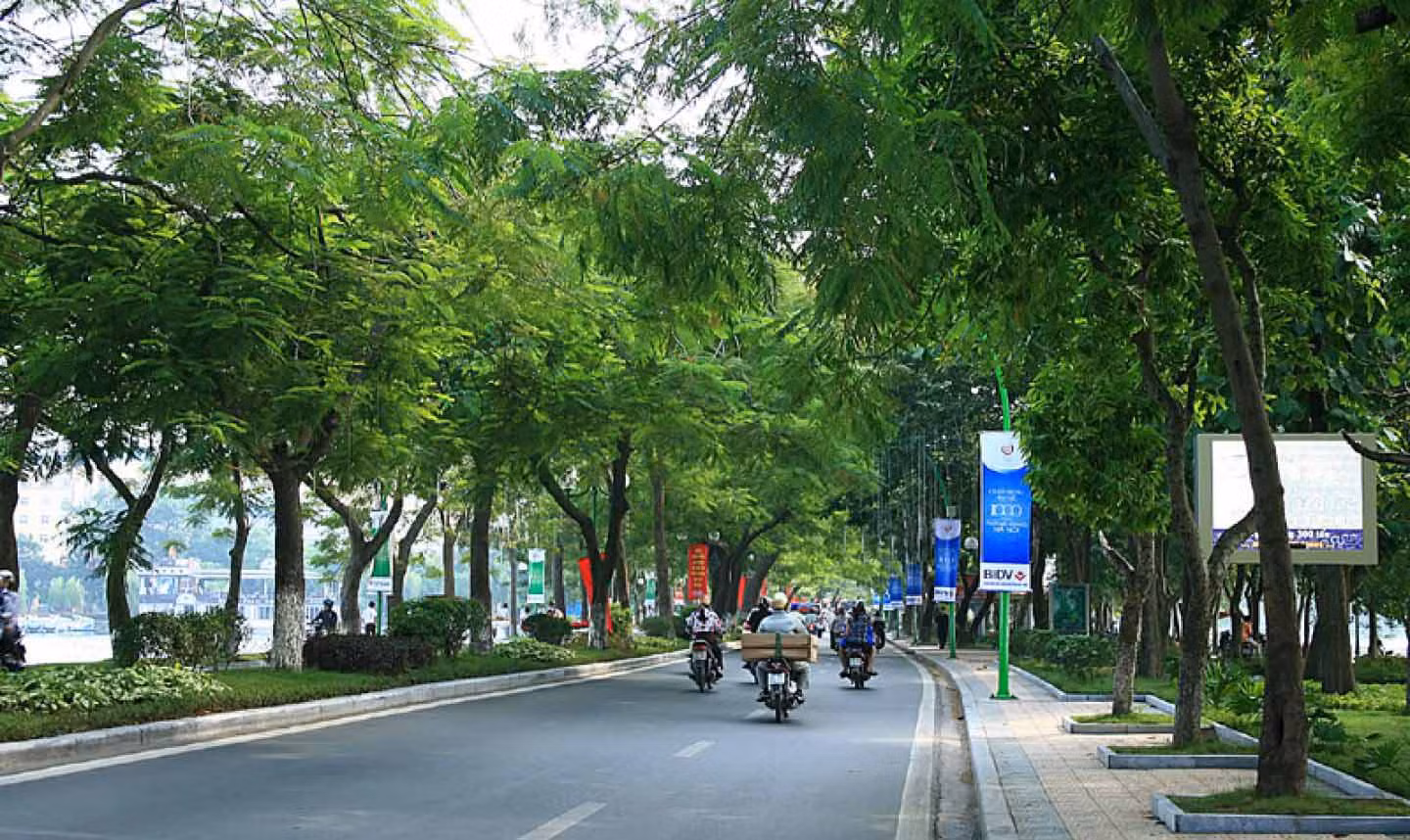 Hà Nội sẽ trồng trên 100.000 cây xanh dịp Xuân Nhâm Dần -0