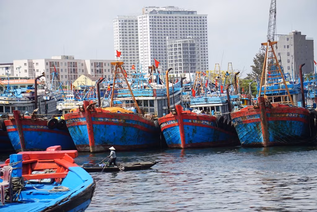 Ngư trường Đà Nẵng tất bật vươn khơi, đón lộc biển đầu năm -0