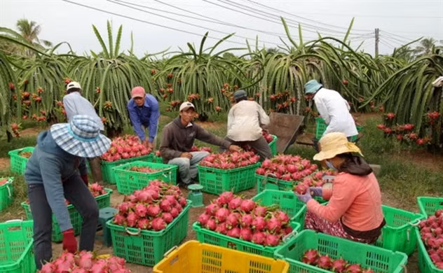 Nỗ lực kết nối, quảng bá hàng hoá Việt Nam tại các nước sở tại -0