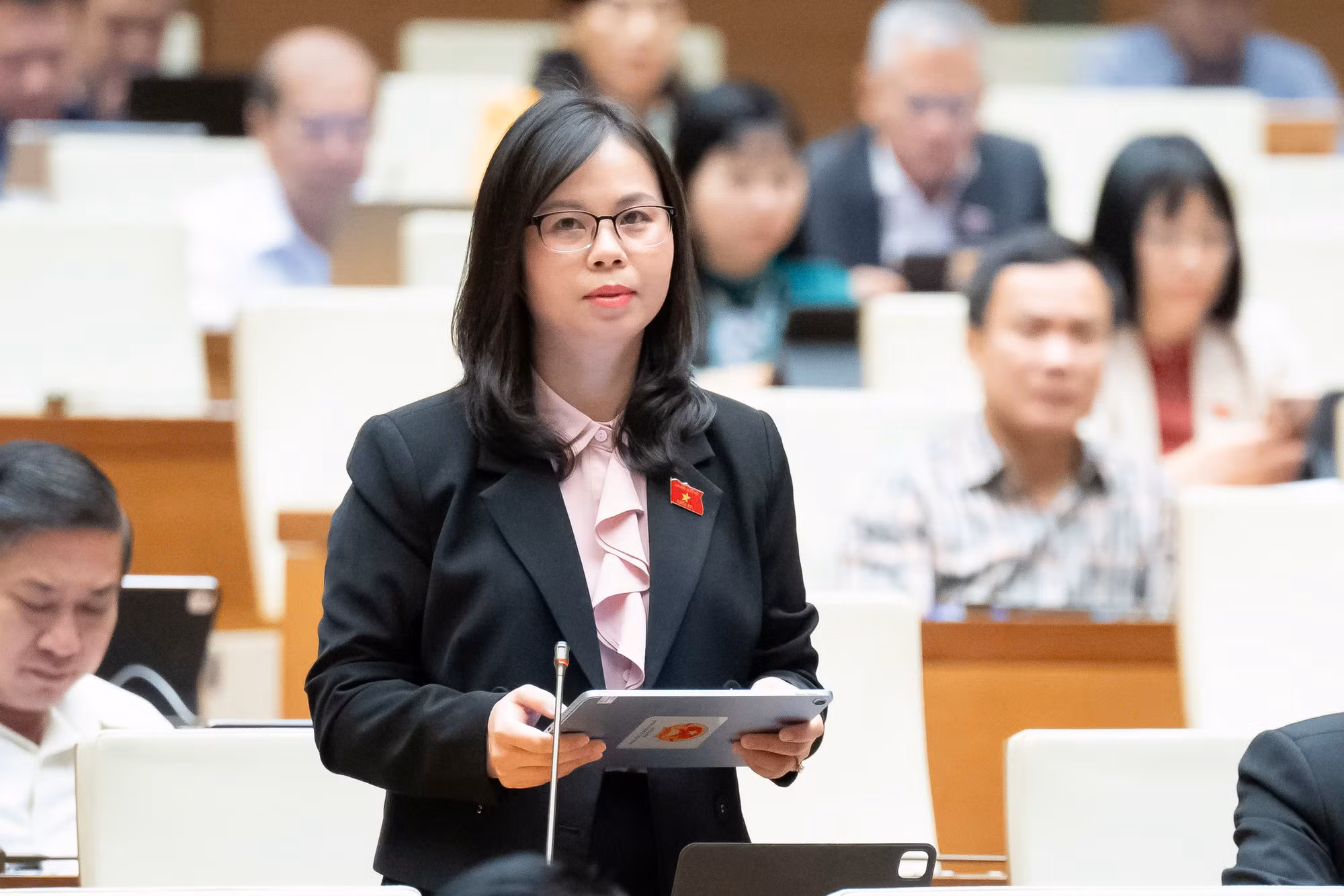 Đổi mới tư duy và hoàn thiện thể chế, chính sách về bảo vệ môi trường -0