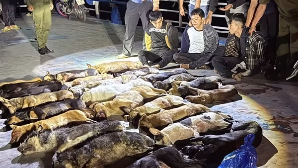 Nhóm thanh niên bắn trộm 24 con chó trong đêm đã "sa lưới"