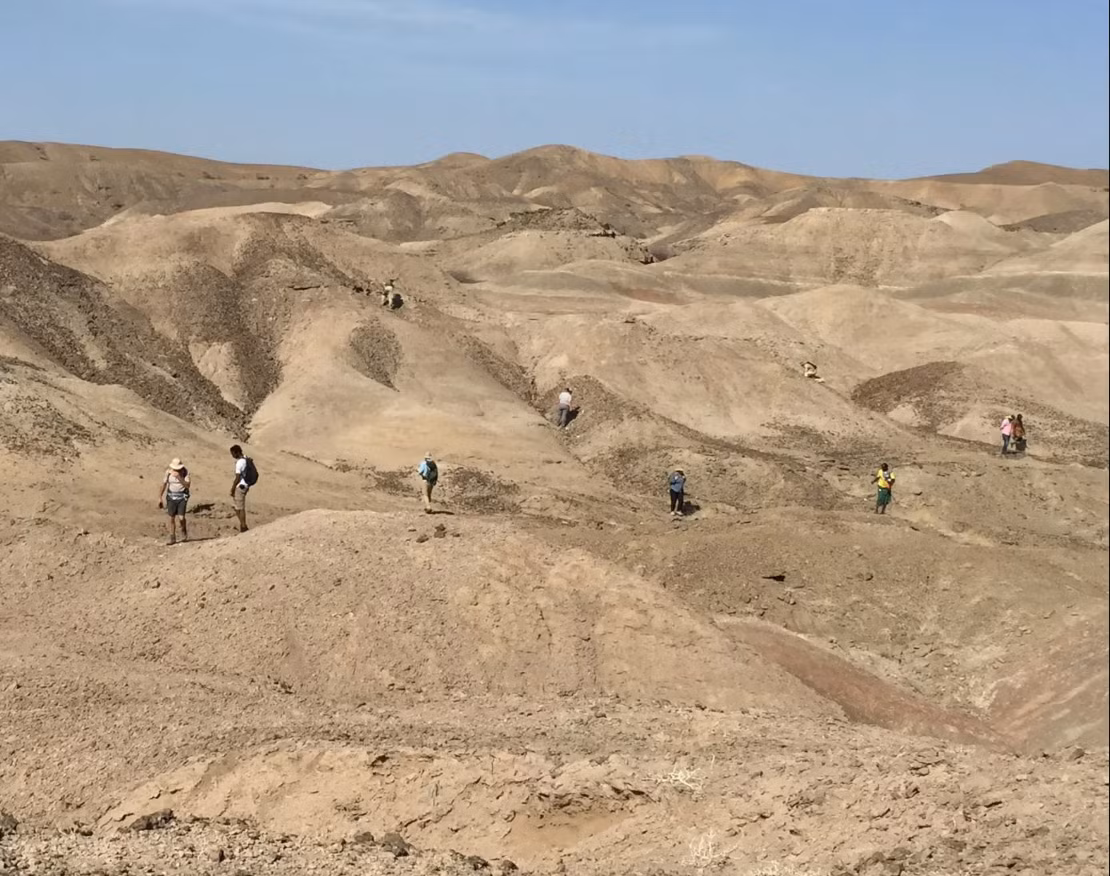 Hóa thạch cổ đại ở Ethiopia viết lại nguồn gốc loài người? -0