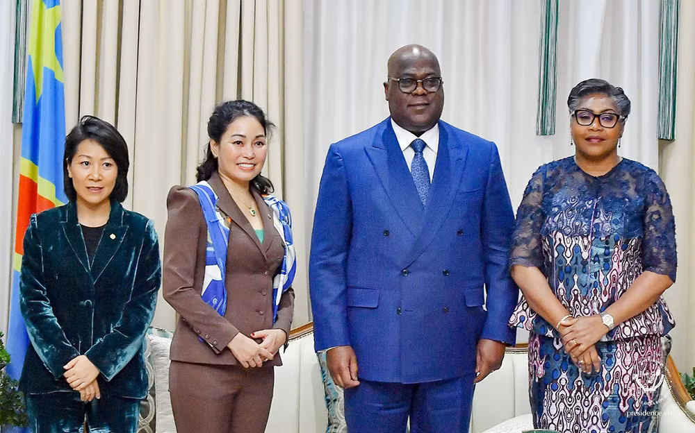 Vingroup nghiên cứu và phát triển đô thị quy mô lớn và giao thông xanh tại Congo -0