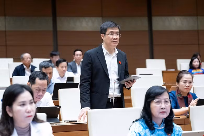Đại biểu nêu thực trạng 