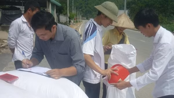 Bí thư Chi bộ, Trưởng thôn "ăn chặn" gần 5 tấn gạo của dân