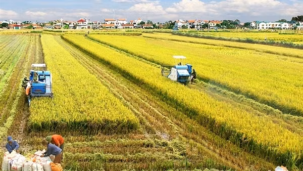 Khoảng trống mênh mông giữa nhà khoa học, chuyên gia với người nông dân