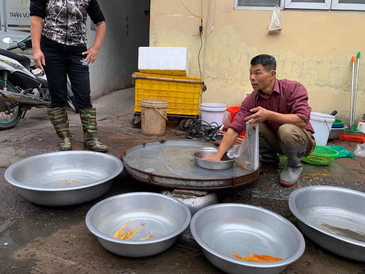 Cá chép tăng giá trong ngày ông Công ông Táo -0