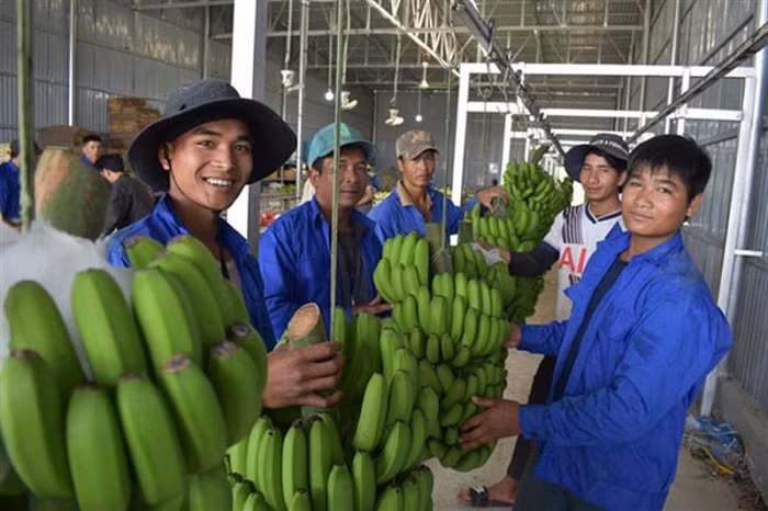 Nhiều chính sách lớn phát triển toàn diện vùng dân tộc thiểu số ở Tây Nguyên -0