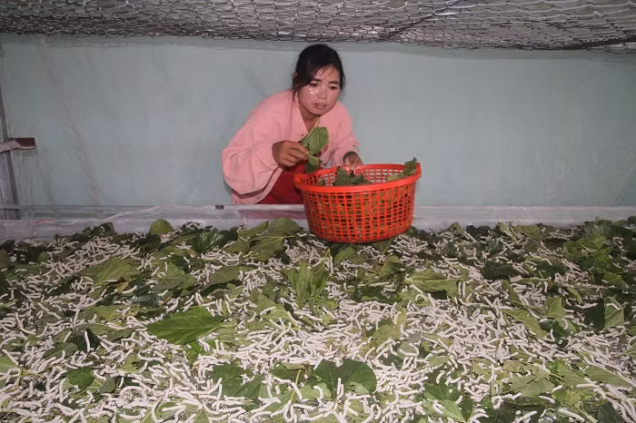 Nhiều chính sách lớn phát triển toàn diện vùng dân tộc thiểu số ở Tây Nguyên -0