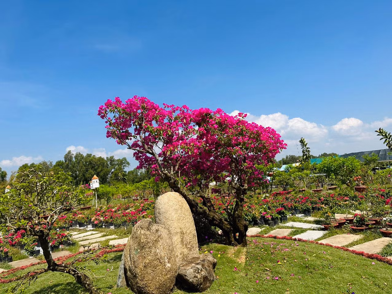 Trà Sư - cảnh sắc thiên nhiên muôn màu -0