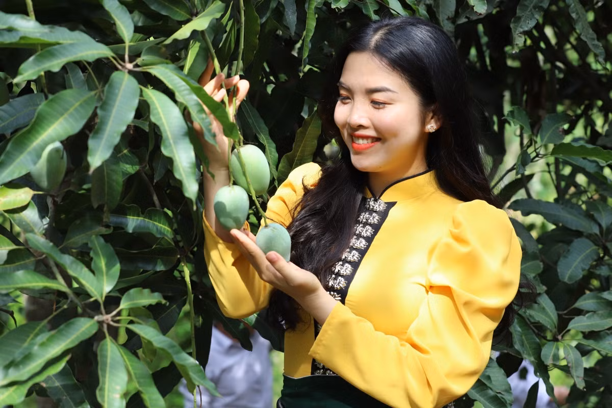 Kết nối, quảng bá sản phẩm, thương hiệu 