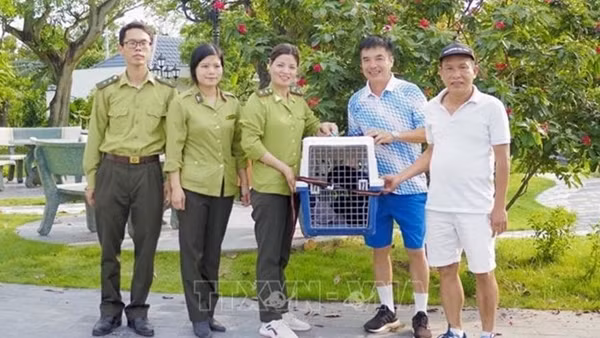 Vườn quốc gia Cúc Phương cứu hộ thành công một con vượn đen má hung quý hiếm