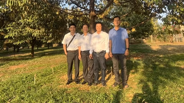Cảnh báo từ việc ồ ạt trồng sầu riêng
