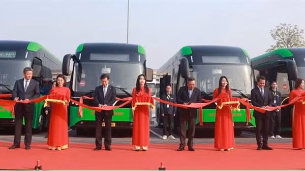 Hà Nội khai trương thêm 3 tuyến xe buýt điện