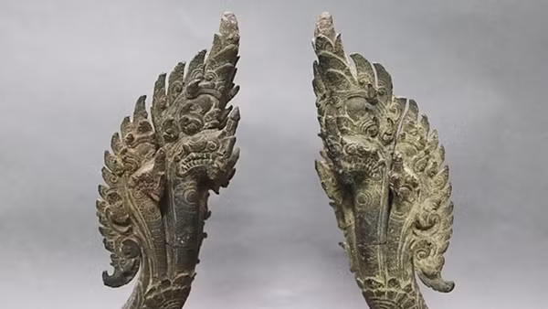 Những giấc mơ rắn