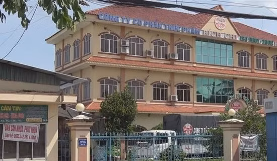 Phát hiện, đình chỉ doanh nghiệp chế biến “chui” dăm gỗ ảnh 3