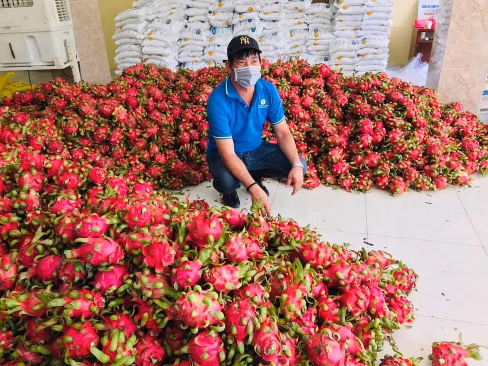 Bộ NN&PTNT thôn kêu gọi&nbsp;10.000 suất quà thiết yếu tặng người nghèo ở TP Thủ Đức -0