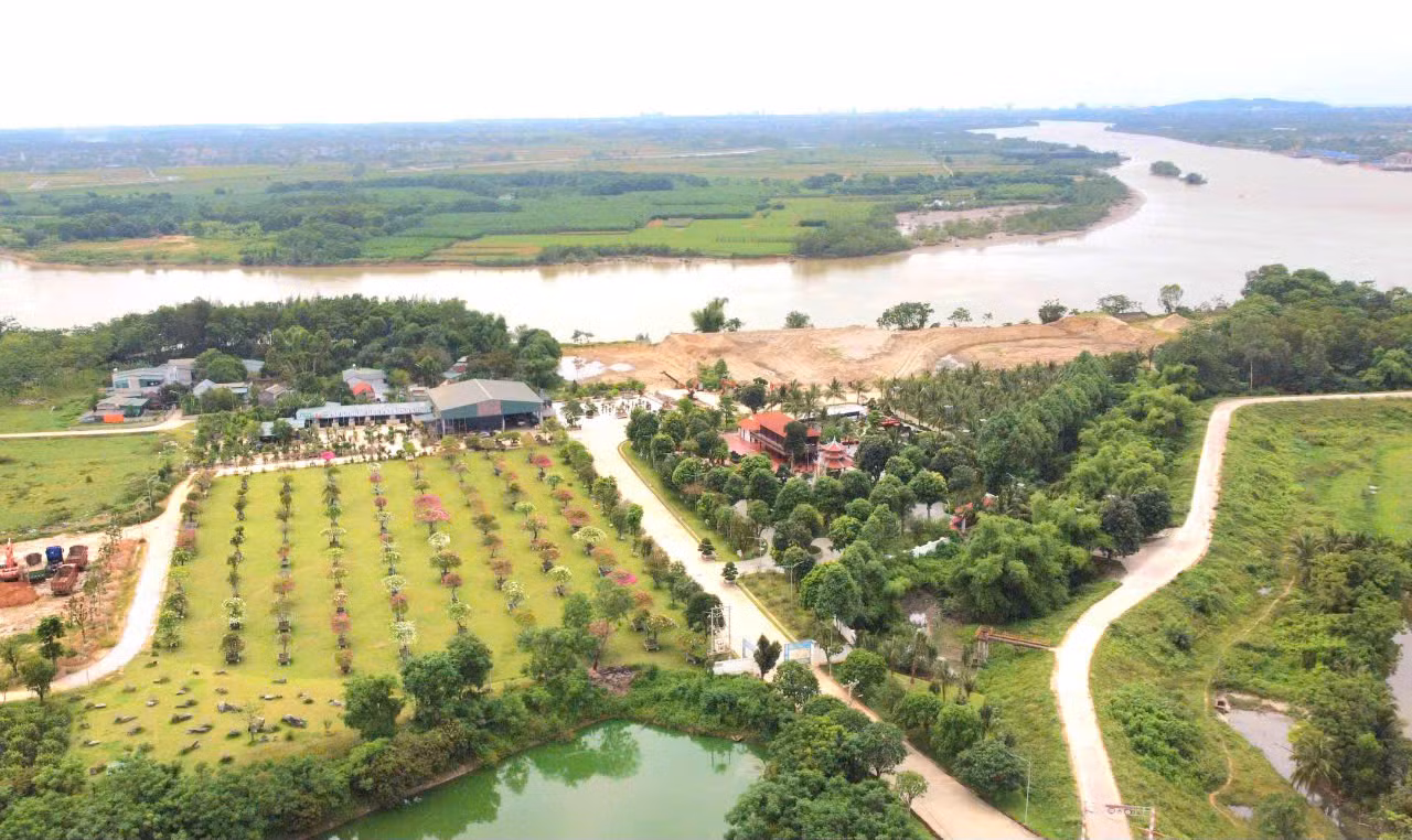 Khu sinh thái “bất trị” bên bờ sông Mã có liên quan gì đến Tuấn “thần đèn”? -0