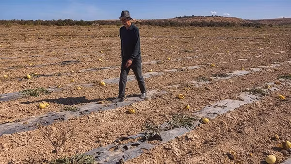 Cuộc chiến nguồn nước của nông dân Morocco