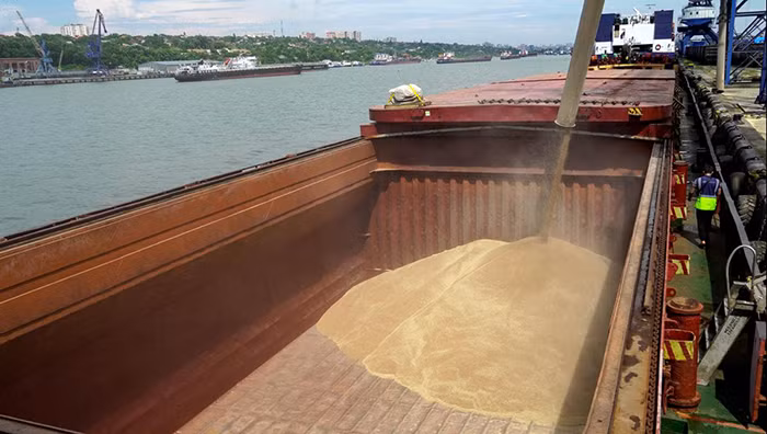 Kỳ vọng về một thế giới hòa bình, ổn định -0