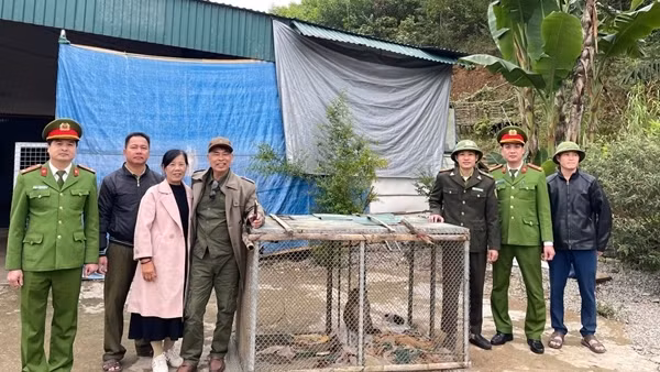 Công an xã ở Thanh Hóa vận động người dân giao nộp nhiều cá thể động vật hoang dã quý hiếm